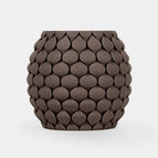 Walnoot - Walnut